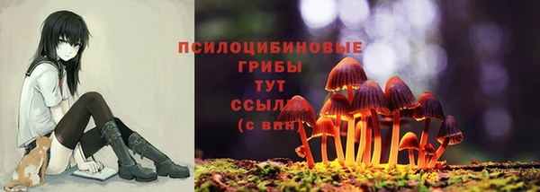 PSILOCYBIN Богородск