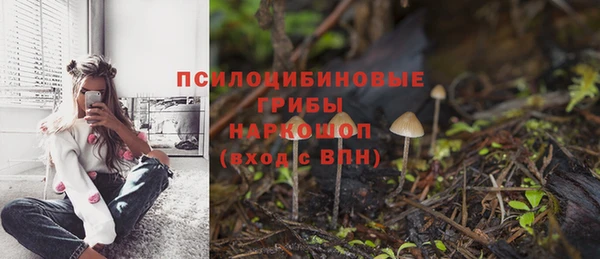 PSILOCYBIN Богородск